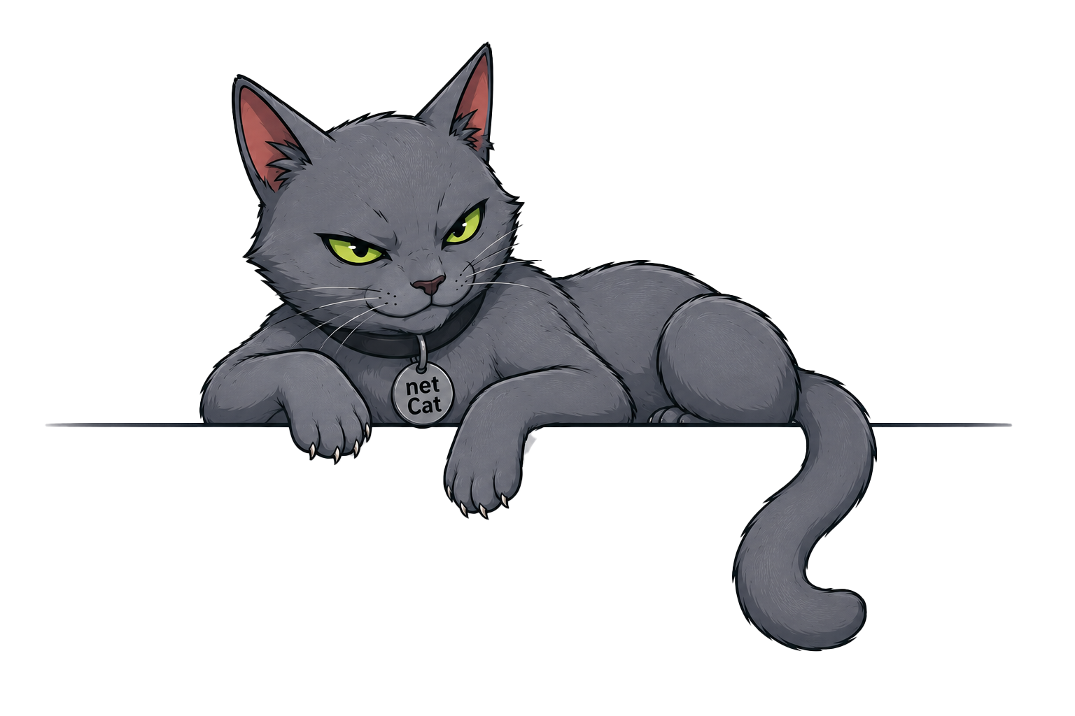 Net Cat resting on divider